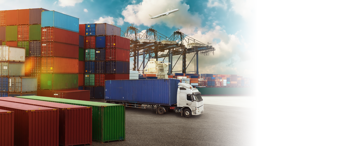 Exporting<br>High Quality Gloves<br>All Over The World